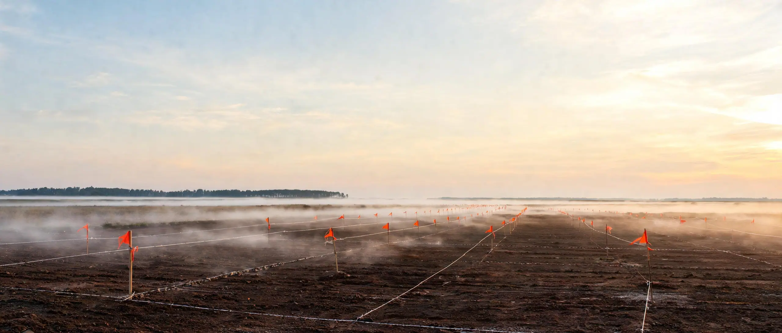 A freshly graded building site with survey stakes and orange flagging in morning mist
